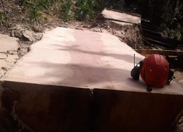 Chainsaw Milling