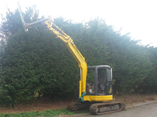 hedge trimming Bay of Islands