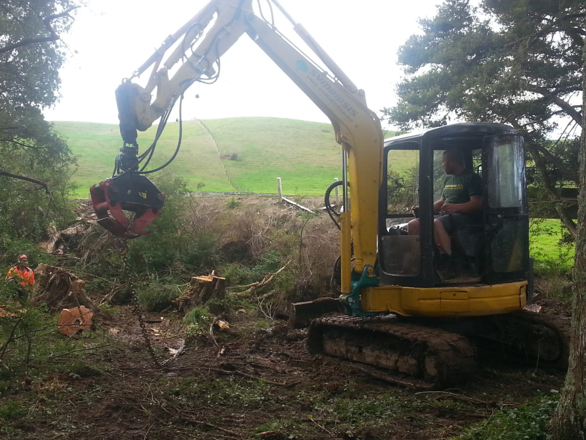 site clearing Bay of Islands