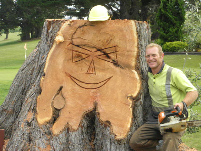 stump removal Bay of Islands