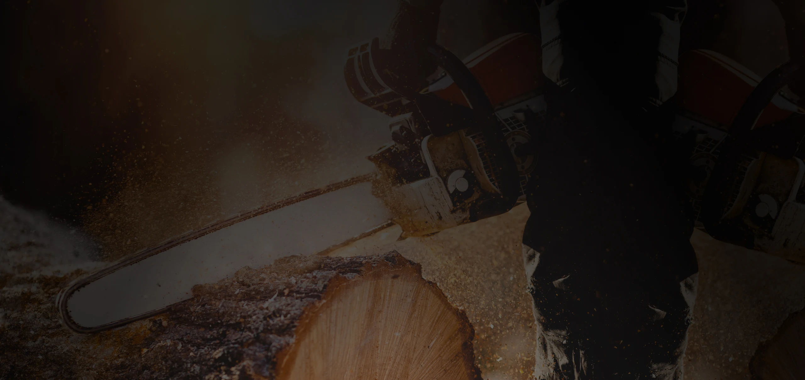 Northland Arborists