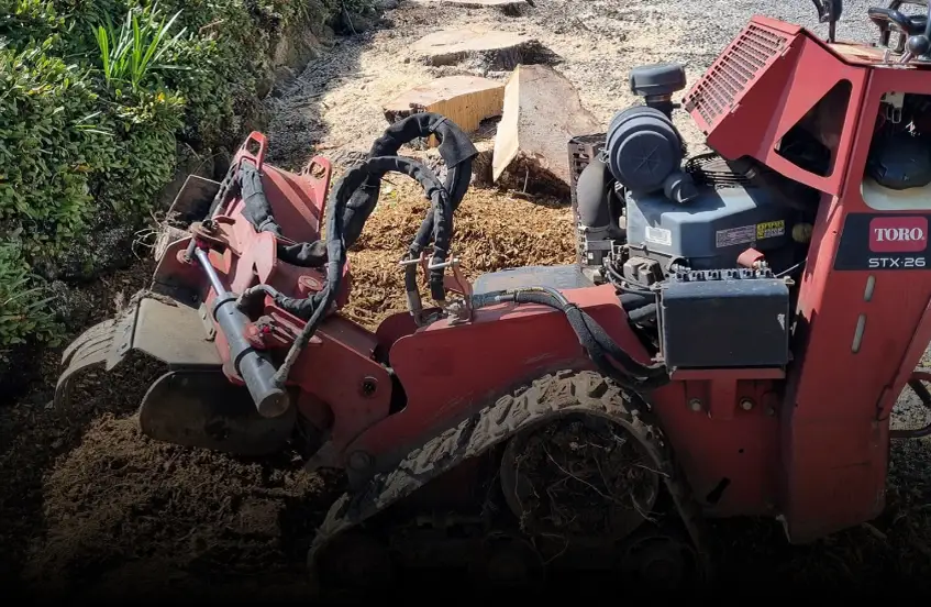 Site Clearing