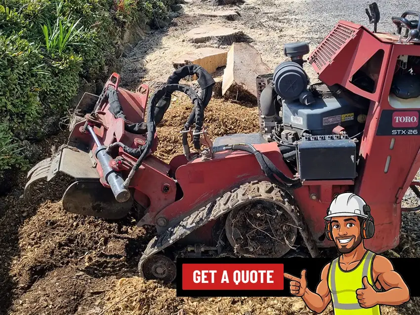 Stump Removal service