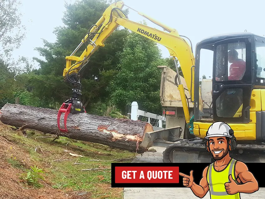 Tree Logging service