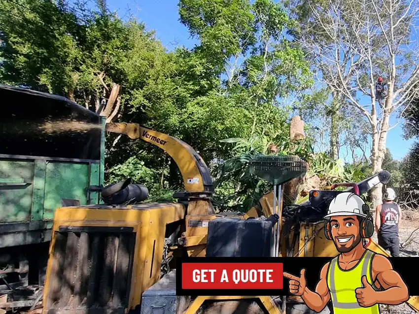Tree Mulching & Chipping service