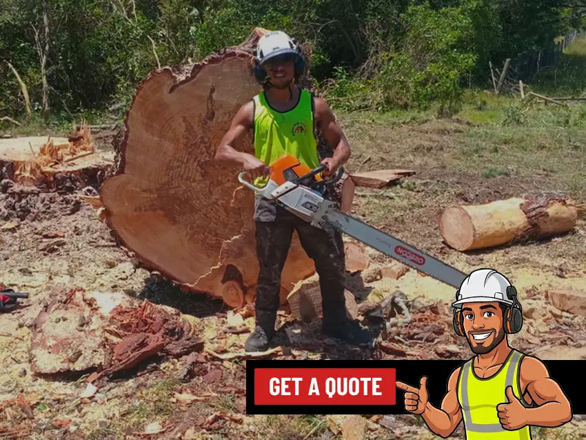 Tree Removal