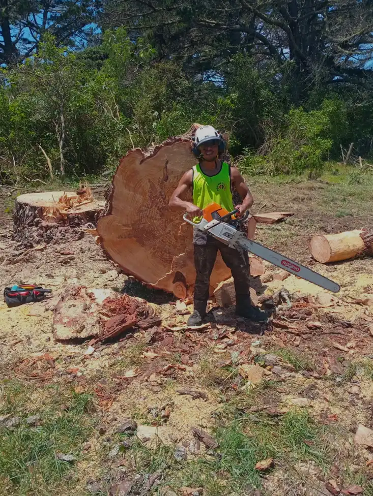 Tree Removal